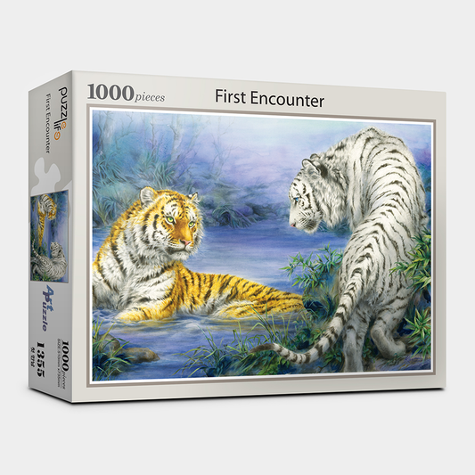 Puzzle Life "First Meet" Jigsaw Puzzles 1000 pieces